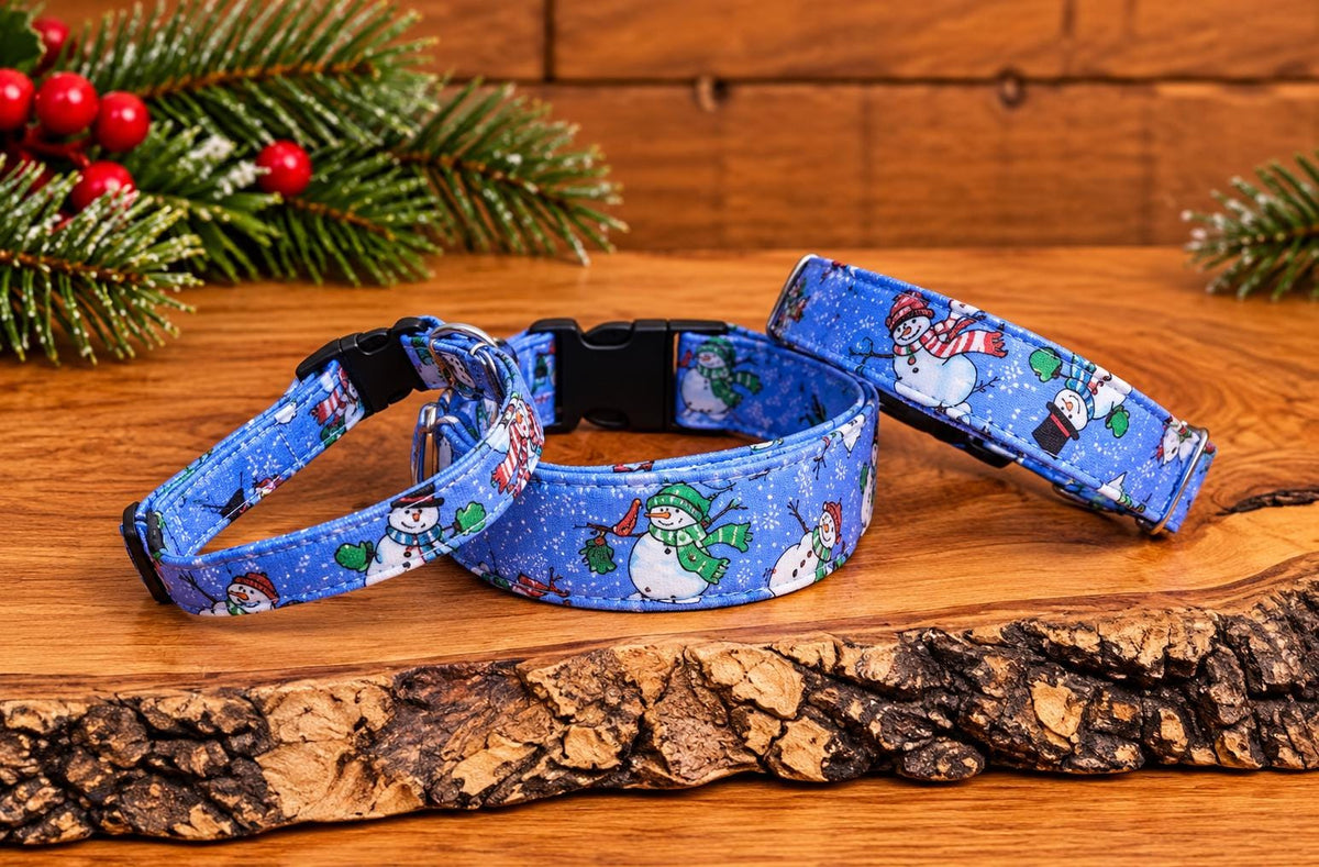 Snowman Christmas Dog Collar on Blue Background with Sparkles with Bows Options