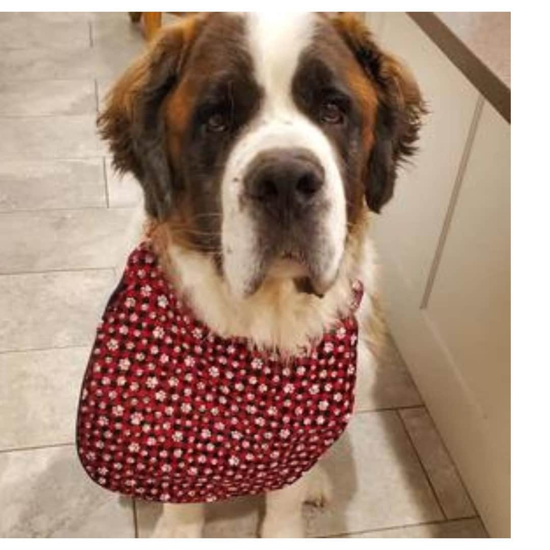 Large Breed Dog Drool Bib: Flannel, Fleece, and Zorb Absorbent Layers