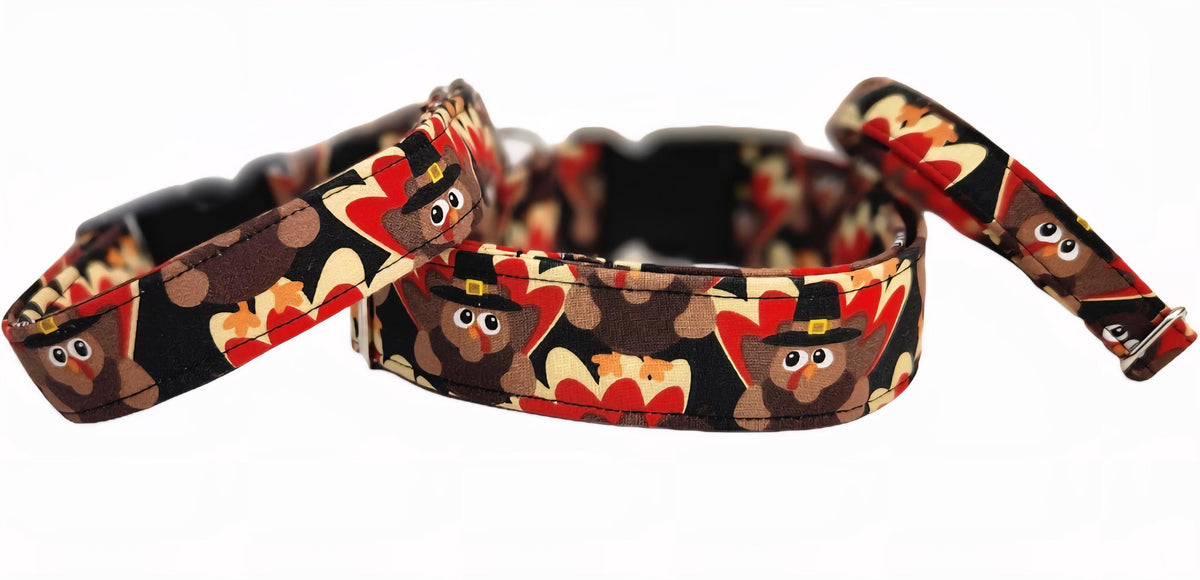 Turkey Dog Collar and Matching Bows