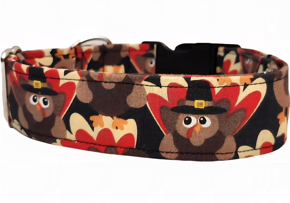 Turkey Dog Collar and Matching Bows