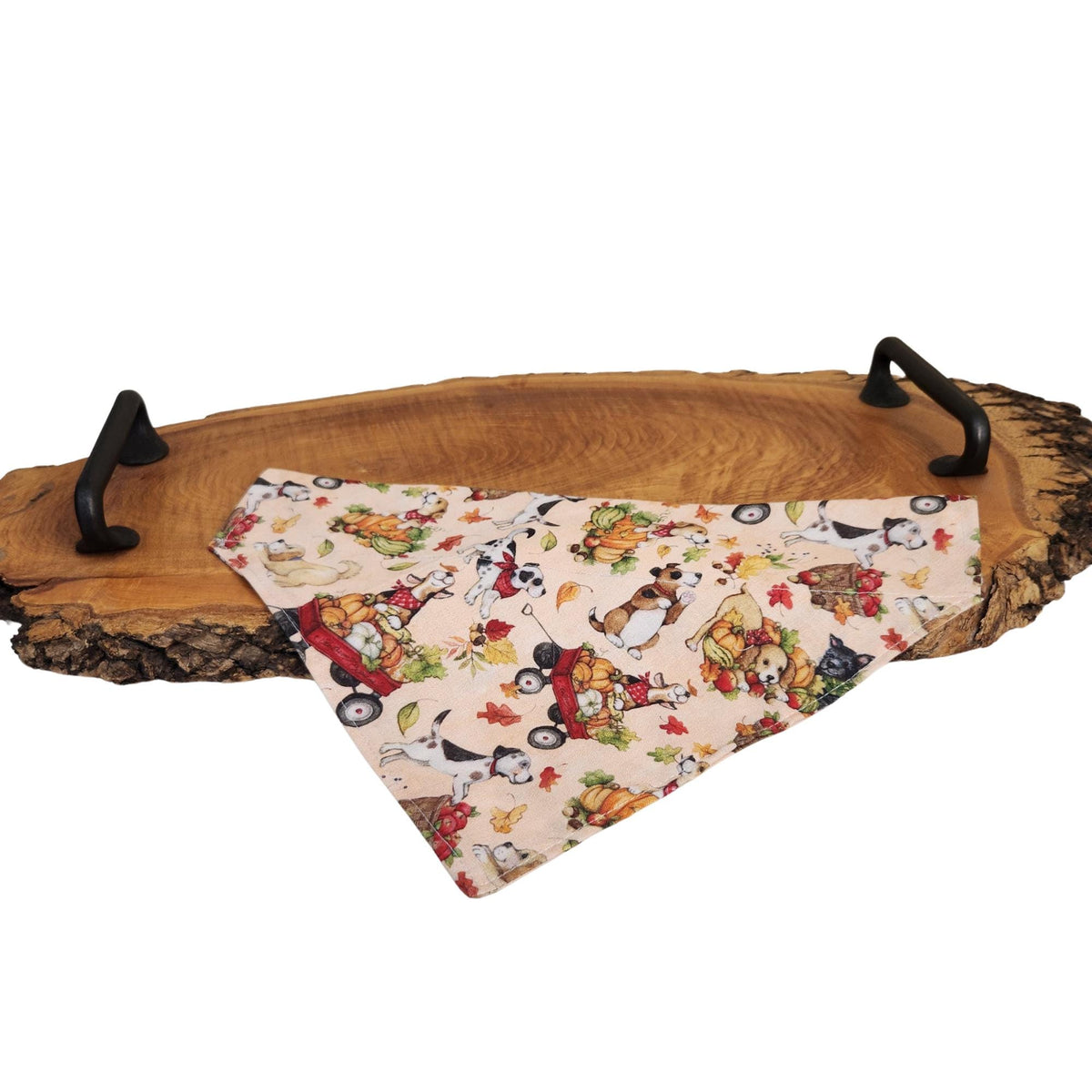 Fall Dog Bandana: Reversible Cotton Fabric, Dog in Baskets Print (Optional Scrunchie)
