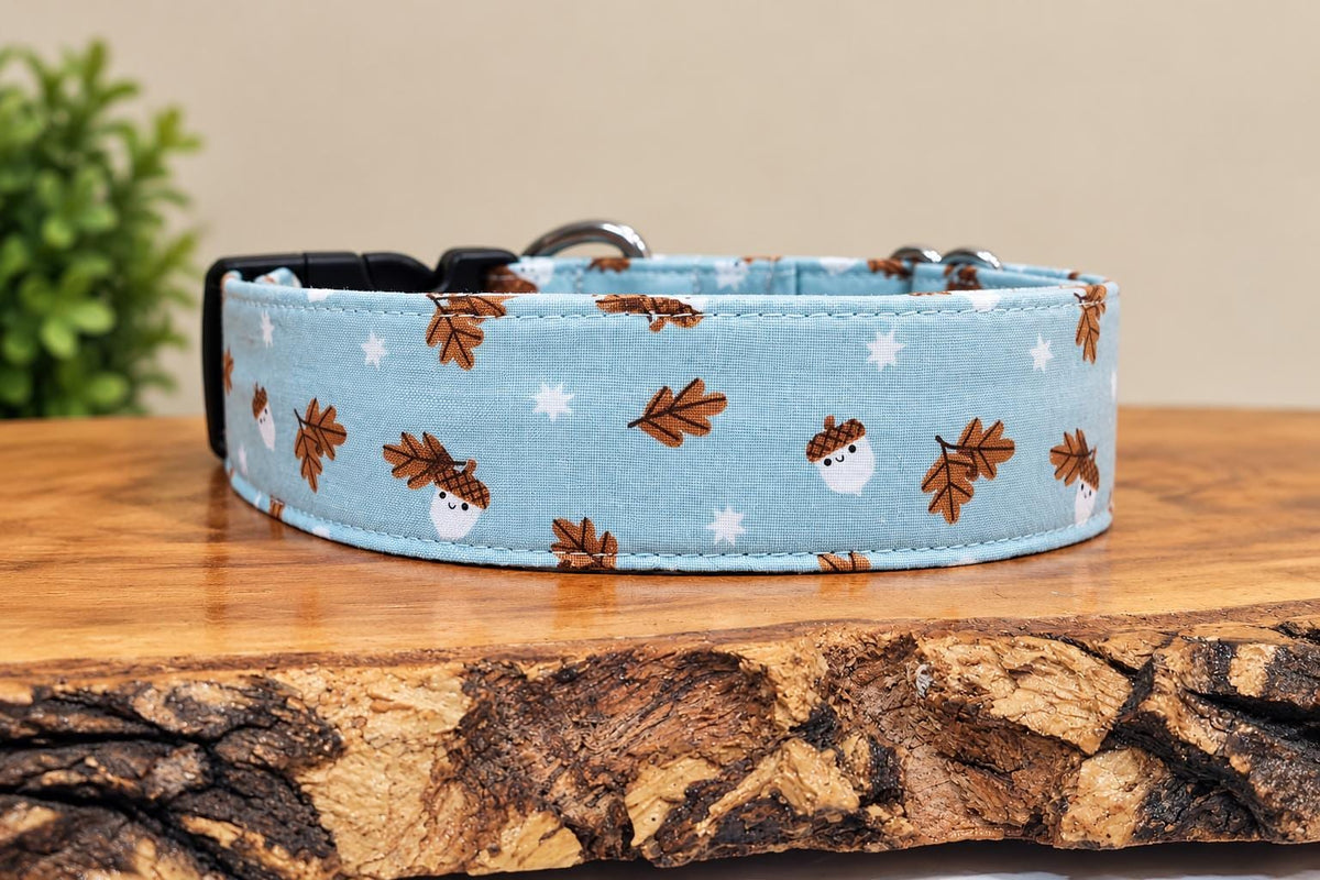 Acorn Fall Dog Collar: Floral & Pinecone Acorn with Fall Leaves on Light Blue Background, Handmade, Bows