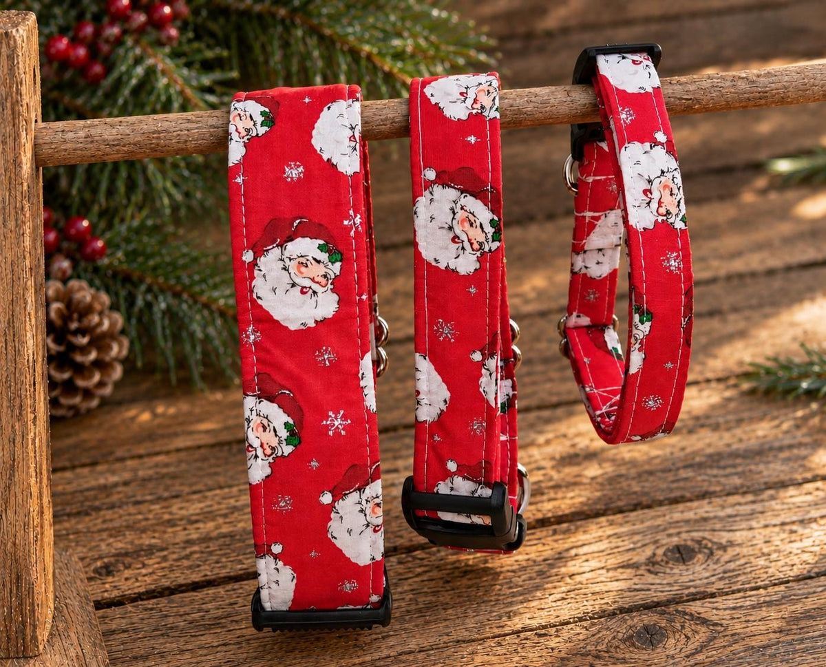 Classic Red Santa Christmas  Dog Collar with Sparkle and Matching Bows