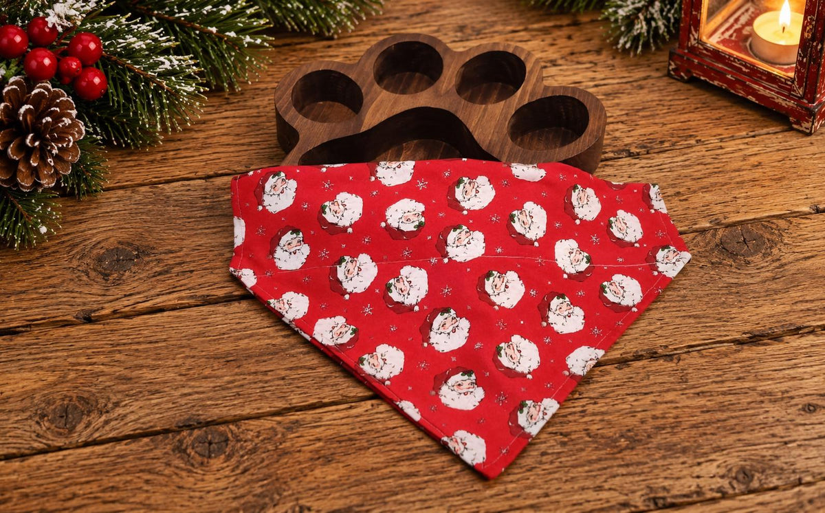 Santa Dog Bandana, Sparkle Red Christmas Pet Scarf
