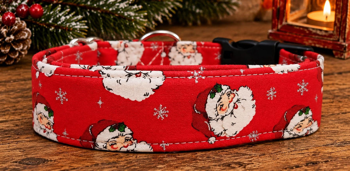 Classic Red Santa Christmas  Dog Collar with Sparkle and Matching Bows